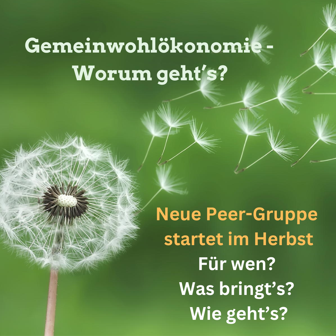 GWOE_Peergruppe