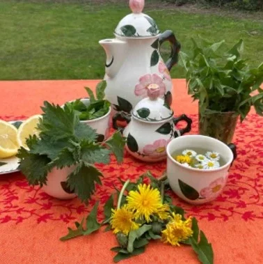 Blumen, Kräuter und Teeservice auf einem rot gedeckten Tisch