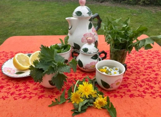 Blumen, Kräuter und Teeservice auf einem rot gedeckten Tisch