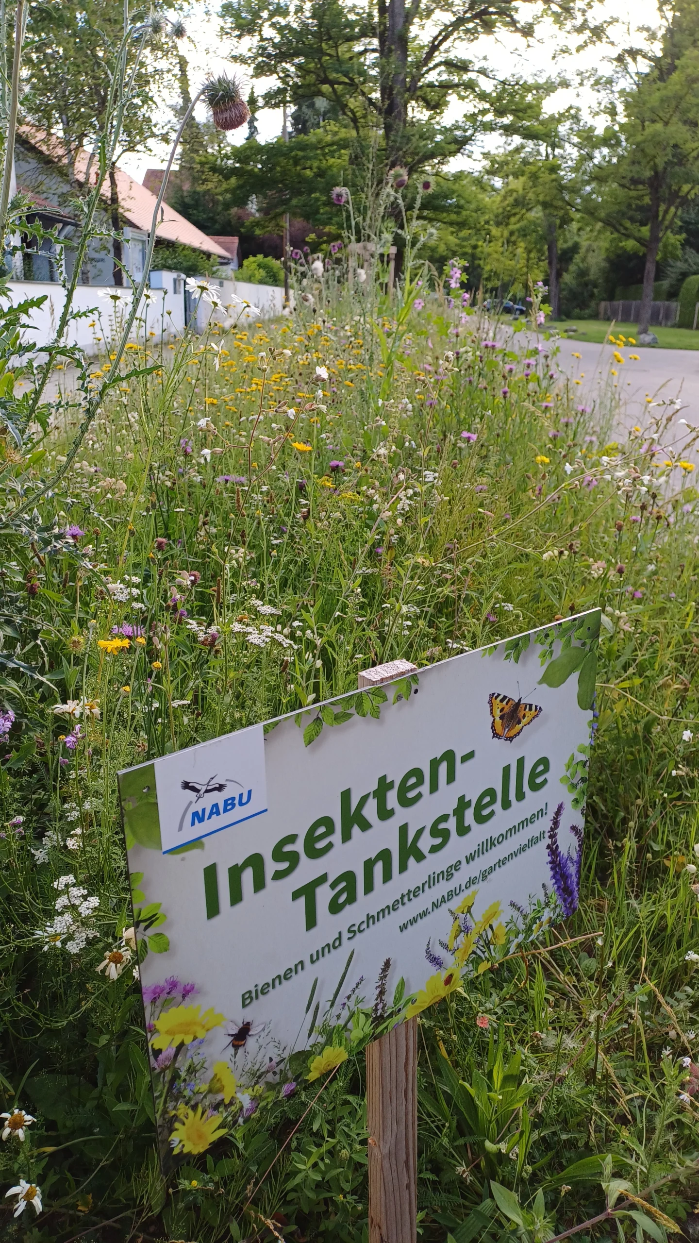 Schild an einer Blumenwiese am Wegrand