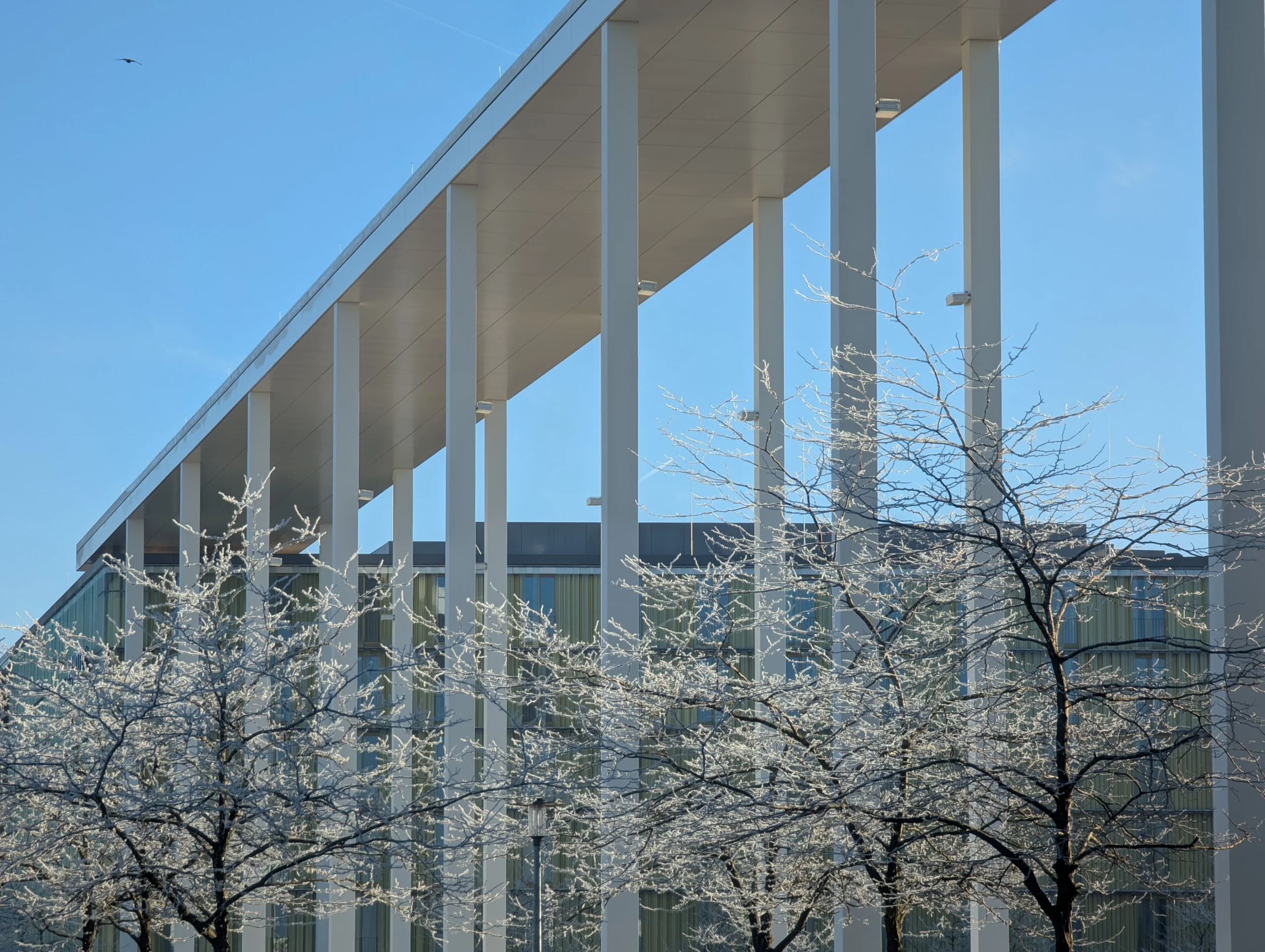 Modernes Gebäude mit Glasfassade vor blauem Himmel