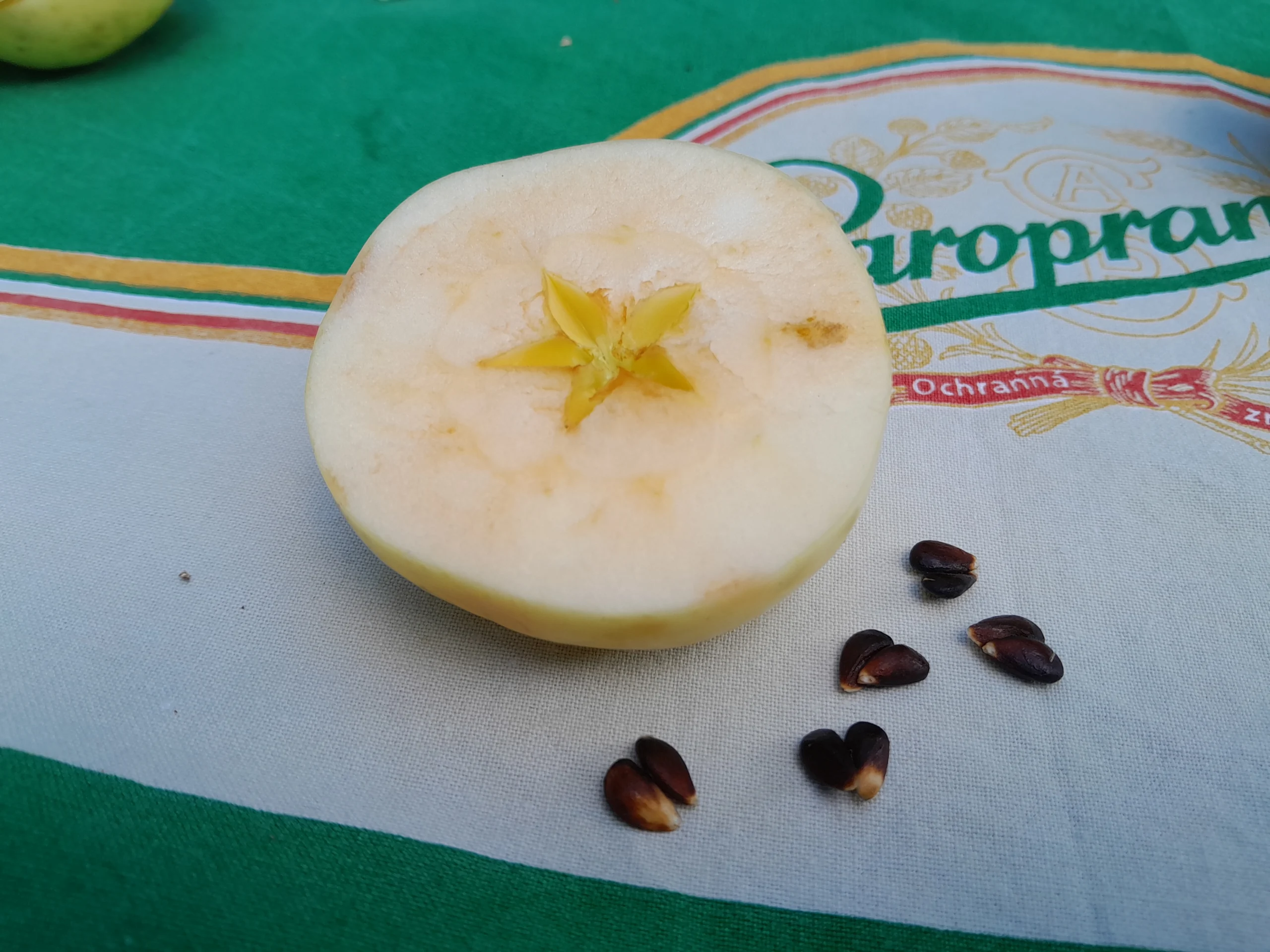 Halbierter Apfel mit Kernen auf einem grünen Tuch