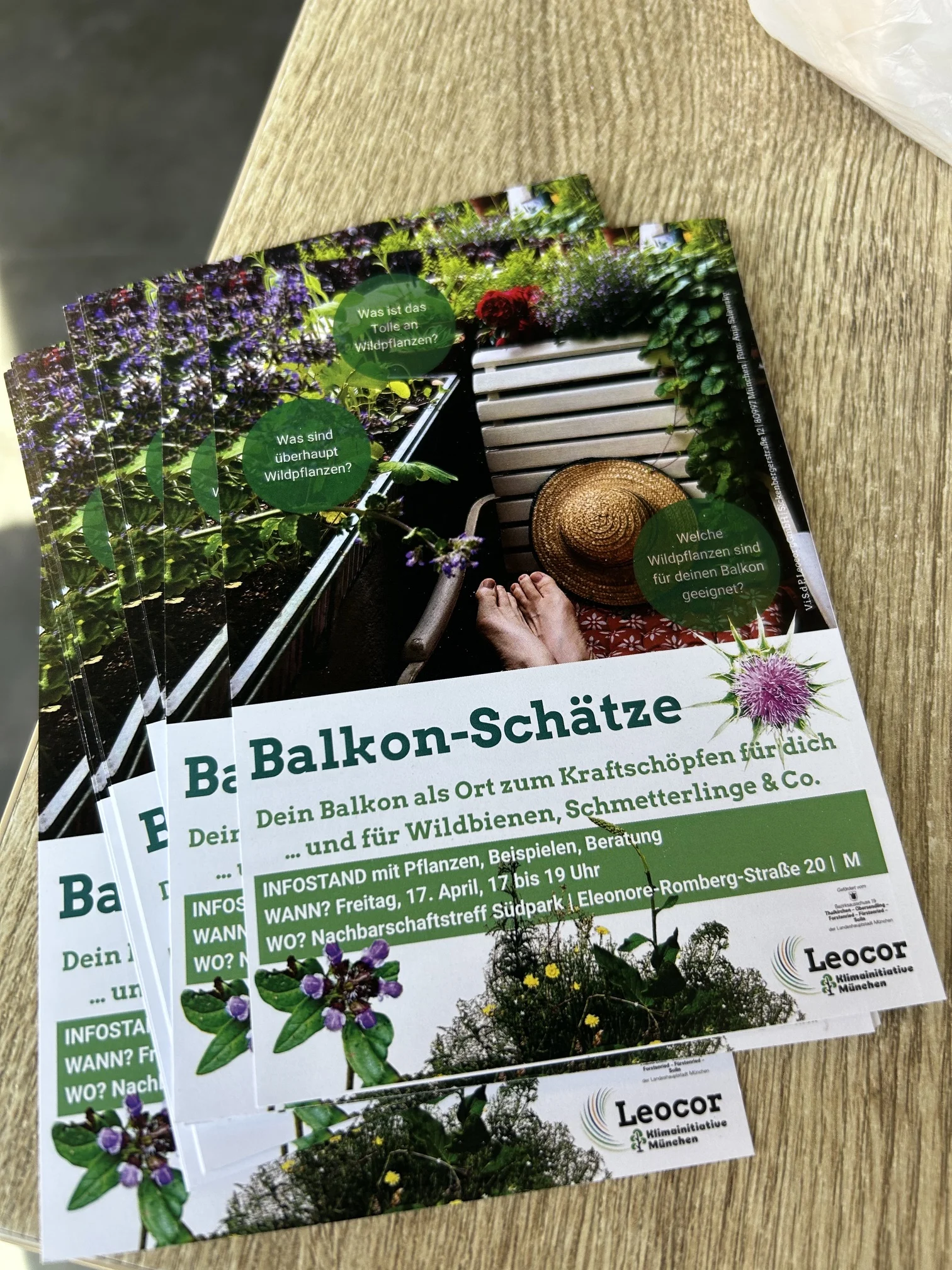 Infokarten mit Pflanzenbildern auf einem Holztisch