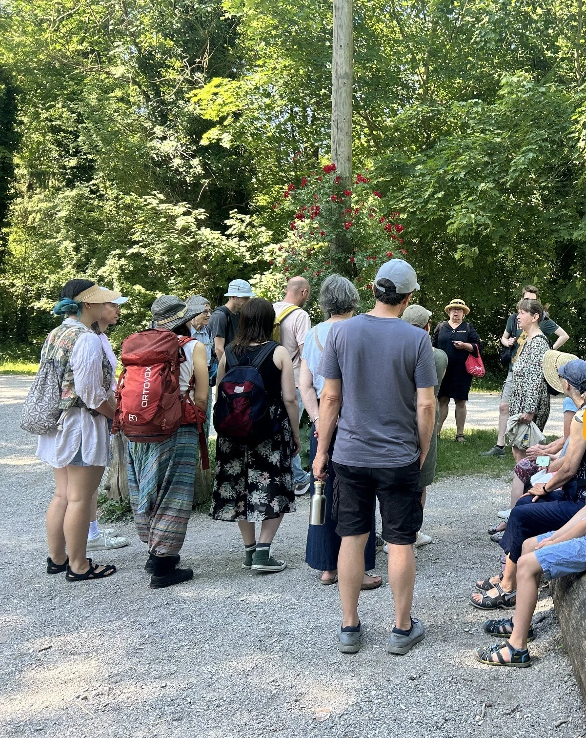 Kleine Gruppe von Menschen geht auf einem Waldweg