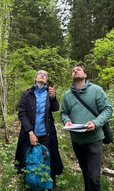 Zwei Personen mit Rucksäcken schauen im Wald nach oben