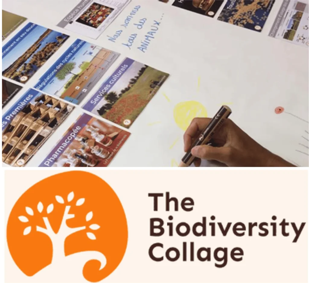 Biodiversity Collage: Bildkarten und Logo