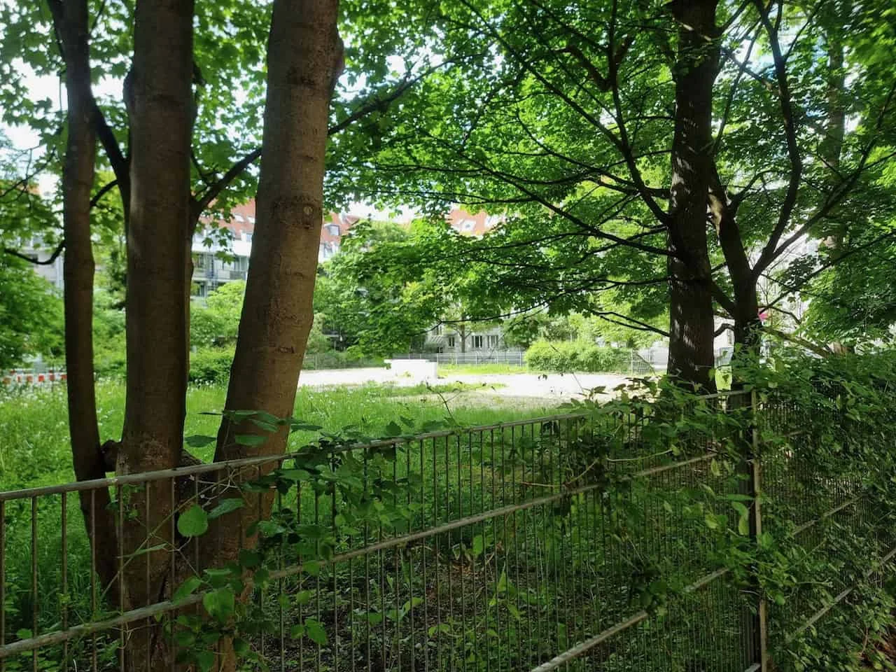Bäume und Wiese in einem Park